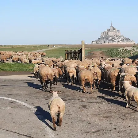 L'hirondelle *
