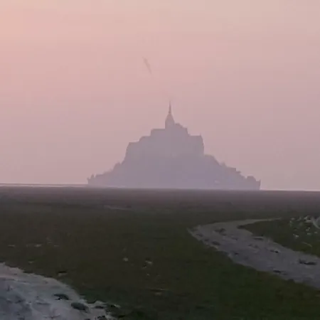 L'hirondelle *
