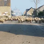 L'hirondelle Nyaraló