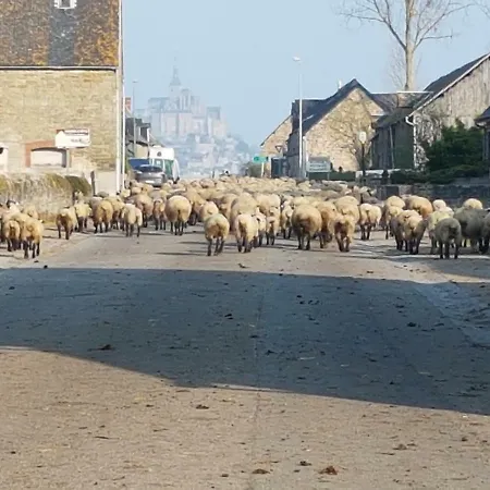 L'hirondelle Prázdninový dům