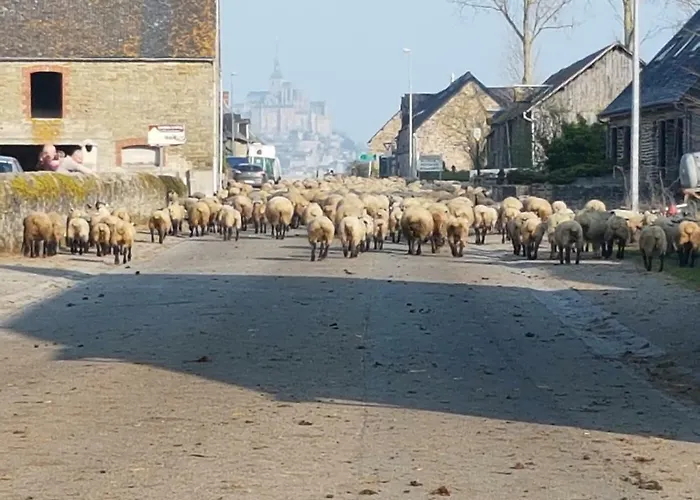 L'hirondelle Holiday home